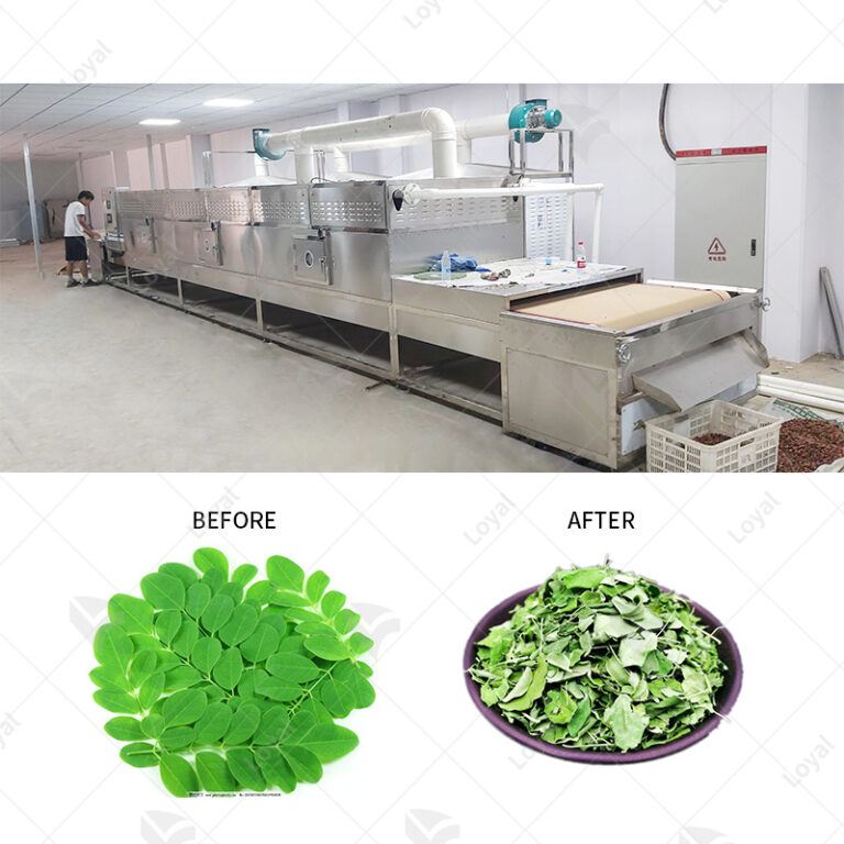 Microwave Moringa leaves sterilization equipment