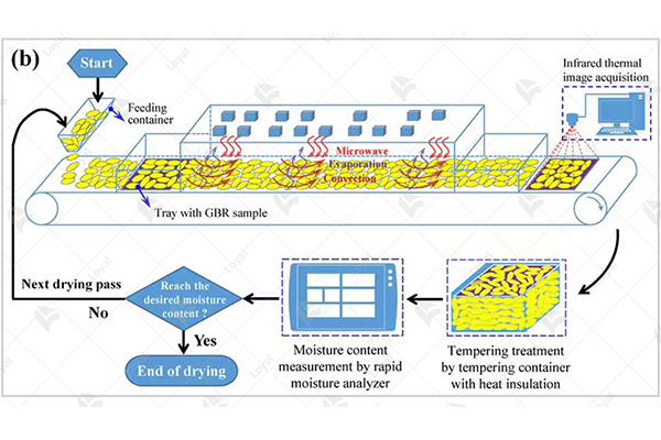 applications of microwave drying