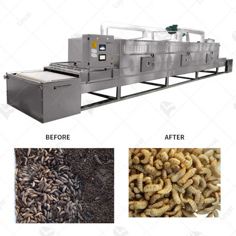 Bsf Larvae Microwave Drying Machine