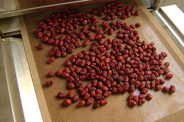 industrial microwave drying