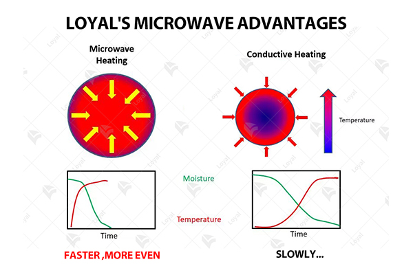 applications of microwave drying