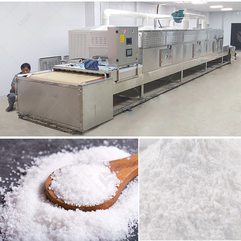 chemical microwave drying equipment