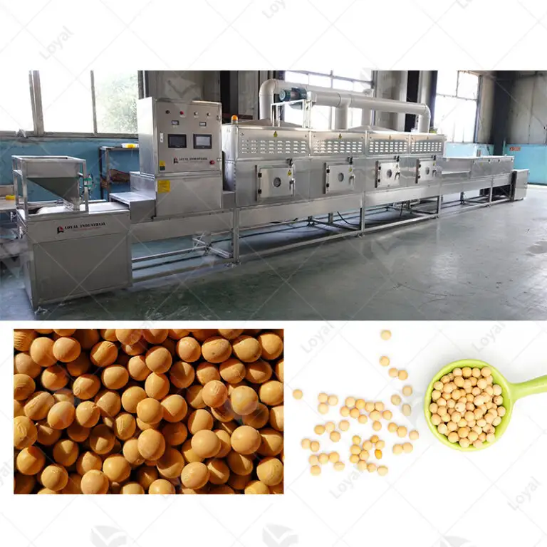 Microwave Beans Drying Equipment