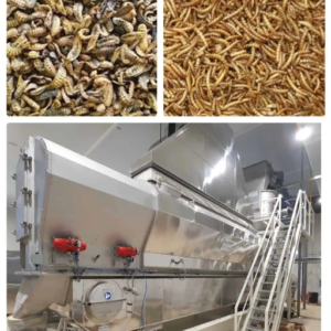 BSF Larvae Drying Machine