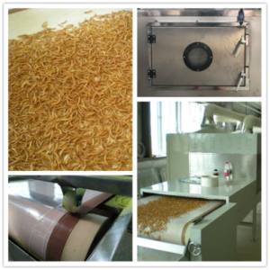 Bsf Larvae Microwave Drying Machine