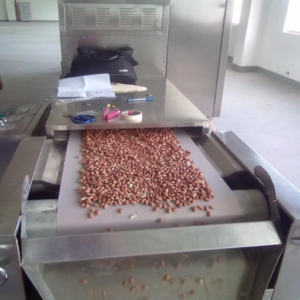 Microwave Beans Drying Equipment