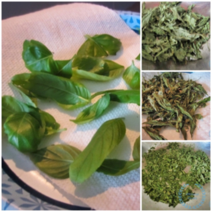 Microwave Drying Herbs