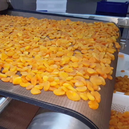 Microwave Drying Of Fruits And Vegetables