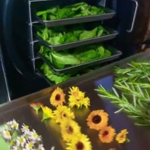 Microwave Flower Dryer