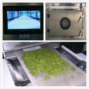 Microwave Moringa leaves sterilization equipment