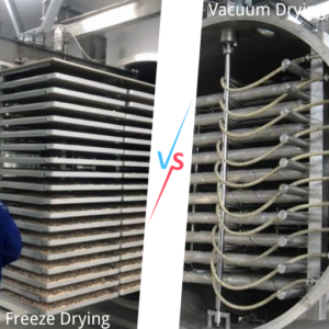 Microwave Vacuum Drying VS Freeze Drying