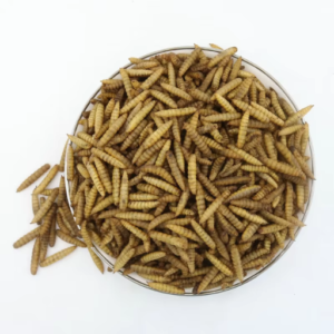 Dried BSF Larvae