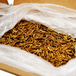 Dried BSF Larvae