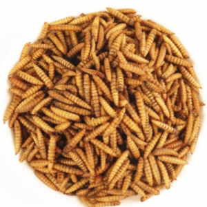 Dry BSF Larvae