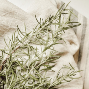 Dry Rosemary In Microwave