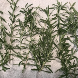 Dry Rosemary In Microwave