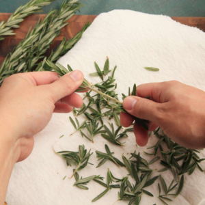 Dry Rosemary Quickly