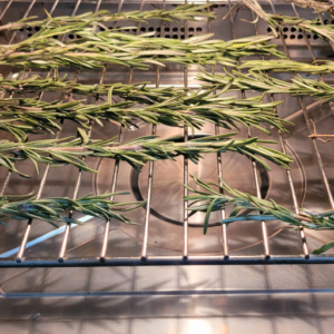 Dry Rosemary Quickly