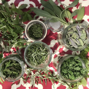 Drying Herbs In The Microwave