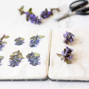 Microwave Flower Press