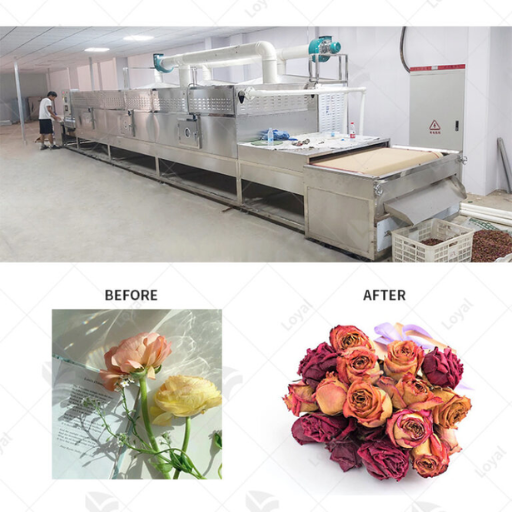 What to Look for When Buying Microwave Drying Equipment China Direct