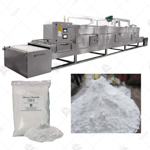 Why China Dominates the Global Microwave Dryer Market