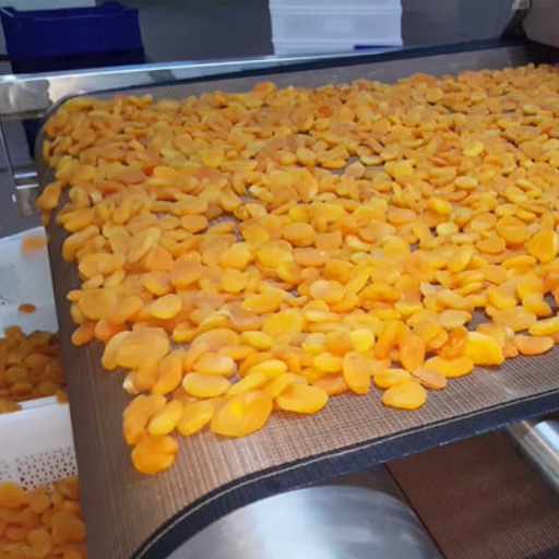 Nutritional and Quality Benefits of Microwave-Dried Food